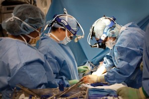 Lee más sobre el artículo La comunidad debe buscar a los médicos «cirujanos plásticos»